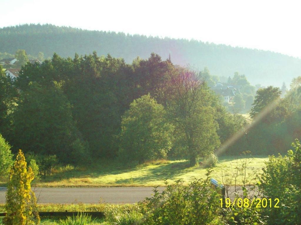 Penzion Zum Fliegenden Hollander Zwiesel Exteriér fotografie